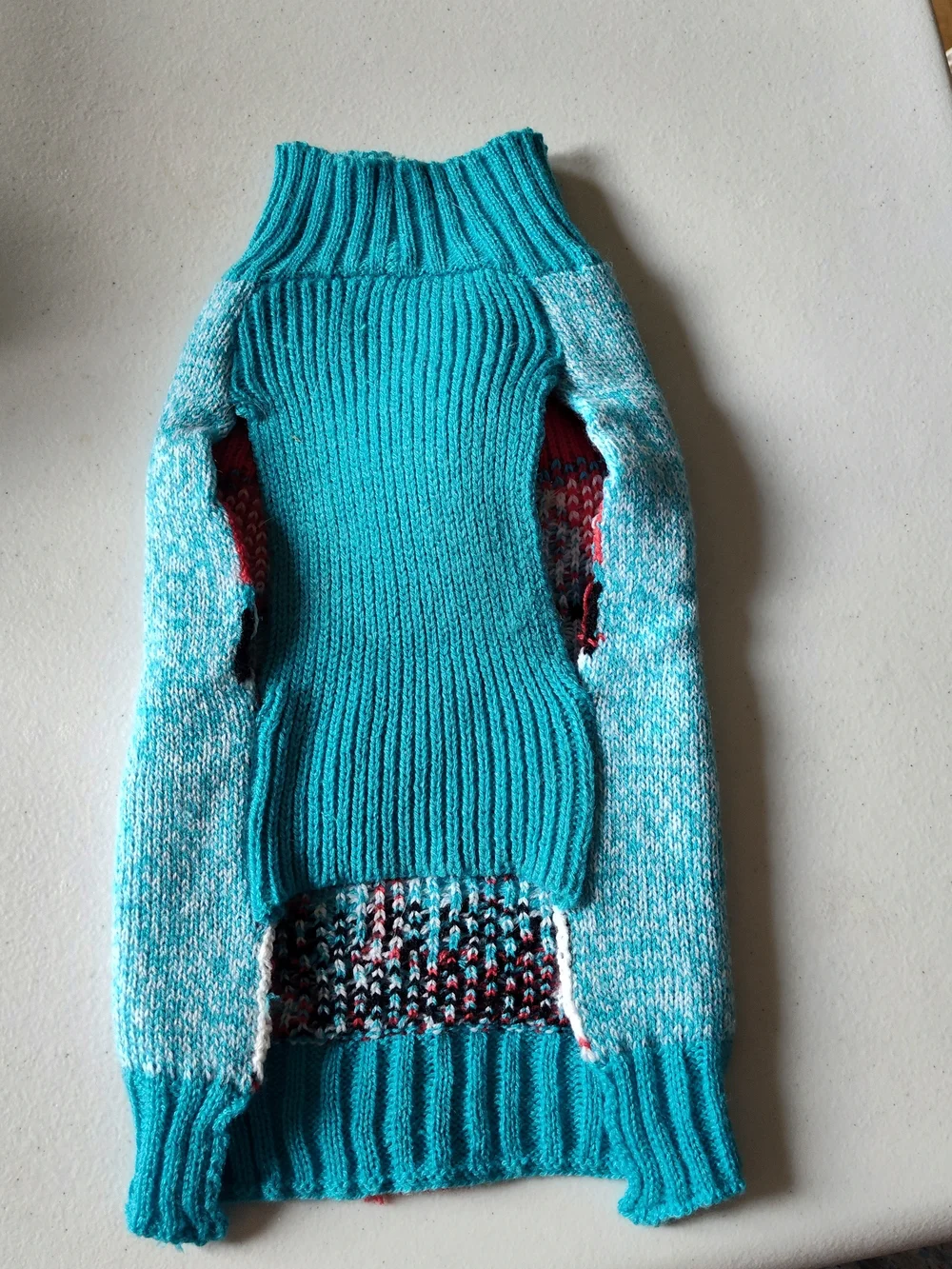Turquoise Penguin Knit Pet Sweater with Red Pom and Scarf